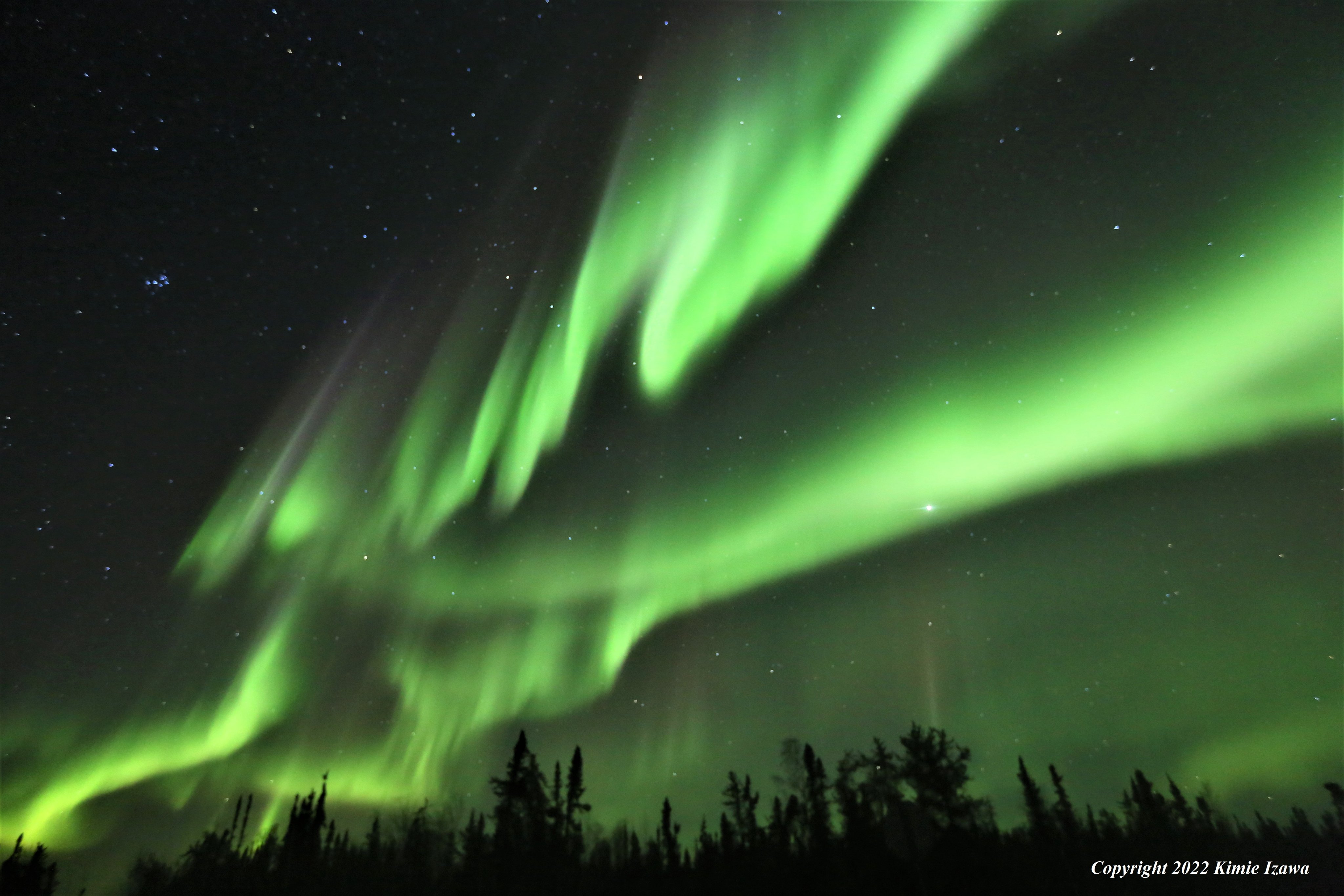 イエローナイフ Twitter Search Twitter