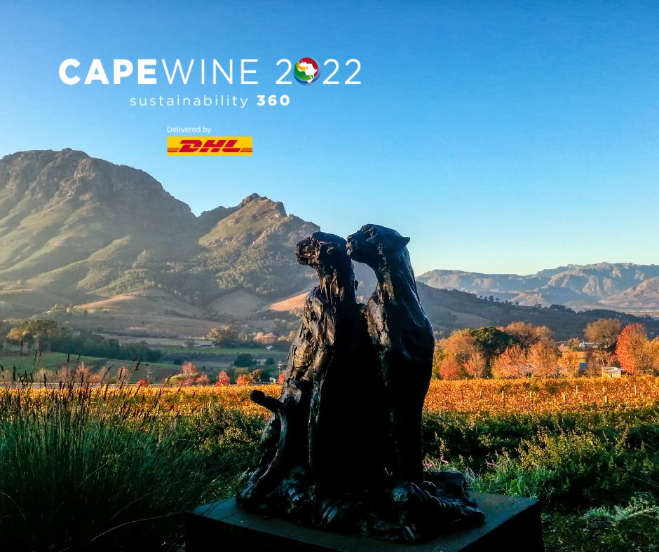CapeWine2025 tweet media