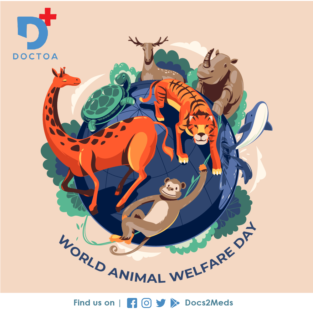docs2meds's tweet image. Happy Animal Welfare Day Everyone!

#animals #safety #welfare #animalwelfare #animalwelfareday #animalprotection #wildlifeconservation #docs2meds #doctoa #healthcare