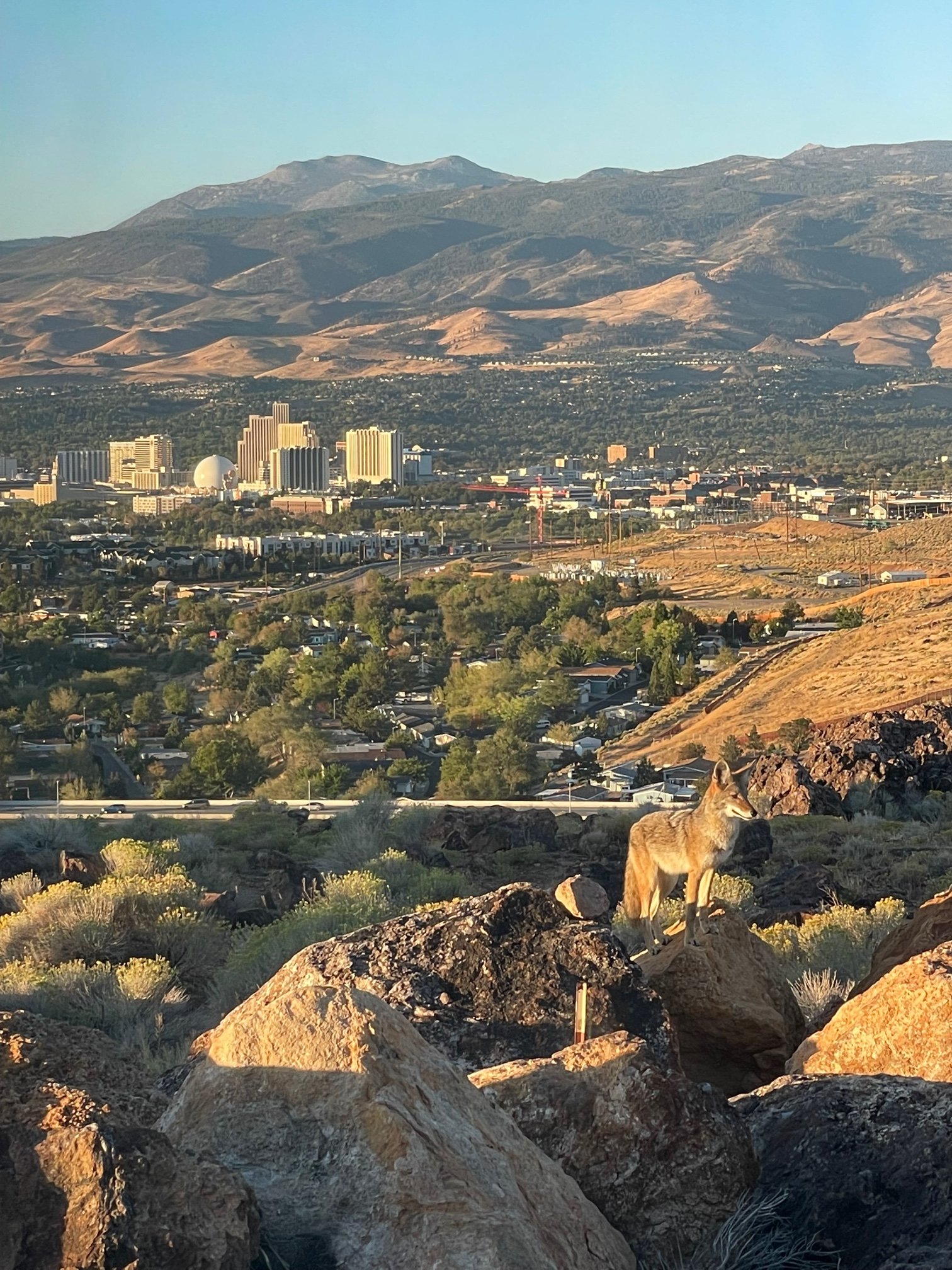 Nws Reno Nv