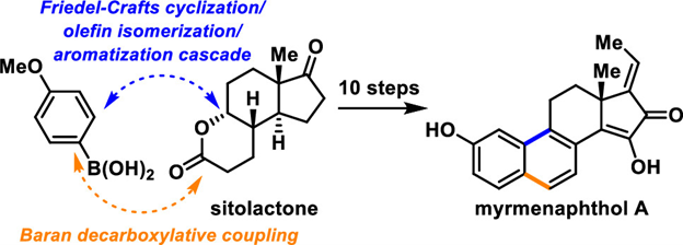Just now in #OL, <a href="/Jinghan_Gui/">Gui Lab</a> et al. report the first synthesis of the phenolic steroid myrmenaphthol A, featuring a Baran decarboxylative coupling and a Friedel–Crafts cyclization/aromatization cascade. Check it all out here pubs.acs.org/doi/10.1021/ac…