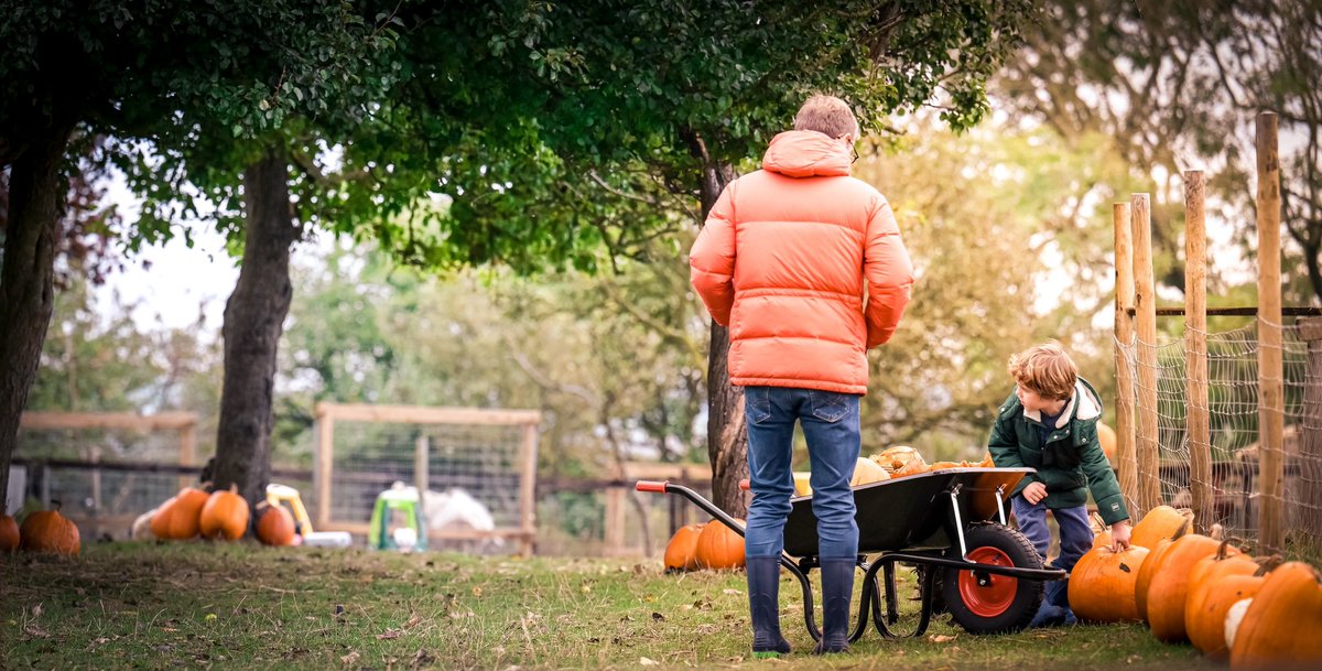 FarmRidgeway's tweet photo. Oh my goodness, we have just found out that we have been shortlisted for the Lancashire Tourism Awards 2022 and we are delighted to announce that we are a finalist in the Small Event Award for our Pumpkin Festival Event.  #LTA22 @MarketingLancs @vistlancashire https://t.co/3YB09pdUHl
