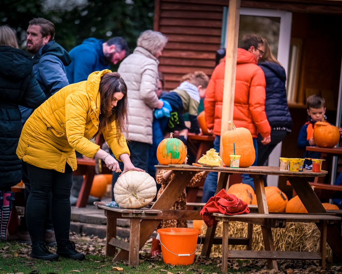 FarmRidgeway's tweet photo. Oh my goodness, we have just found out that we have been shortlisted for the Lancashire Tourism Awards 2022 and we are delighted to announce that we are a finalist in the Small Event Award for our Pumpkin Festival Event.  #LTA22 @MarketingLancs @vistlancashire https://t.co/3YB09pdUHl