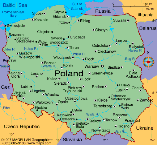 remigq's tweet photo. he kinda looks like Poland 😭 https://t.co/6a5Lddo1vQ
