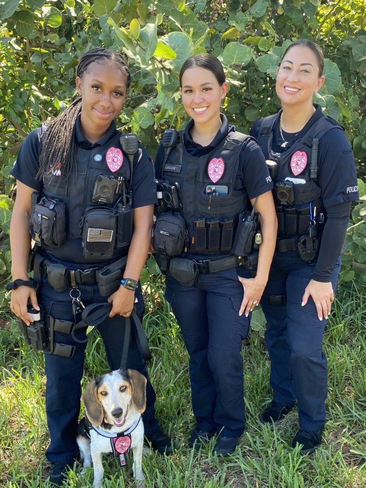 FAUPD's tweet photo. #FAUPD Officers will be wearing pink badges all month long to support National #BreastCancerAwarenessMonth 🎀 https://t.co/OTYfPlovBo