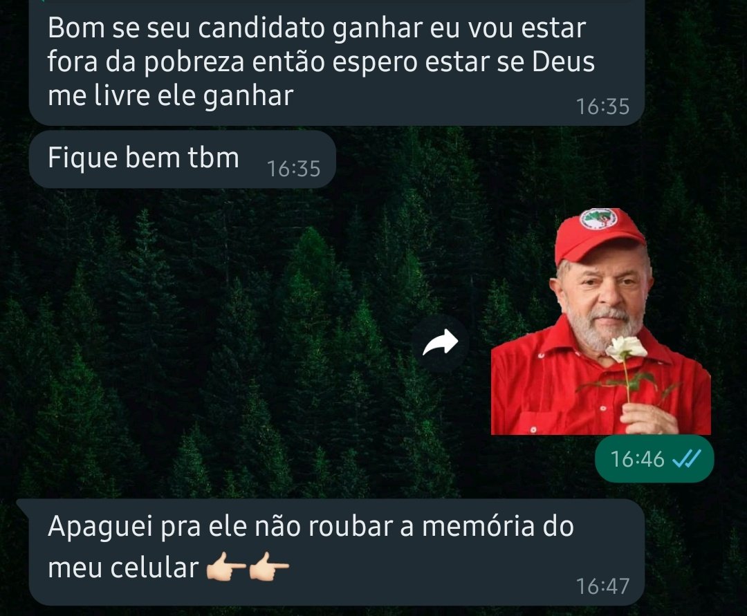 lovlynchs's tweet photo. a maturidade do bolsonarista é admirável https://t.co/bIFeoBD06X