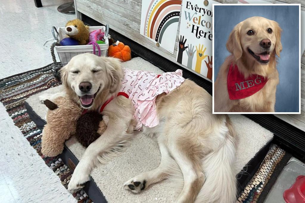 new-york-post-on-twitter-dog-at-ohio-middle-school-gets-her-own