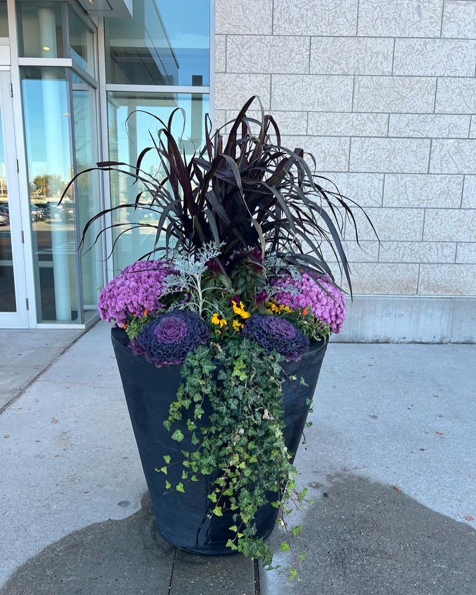Beaverlands's tweet photo. Fall planters @YorkdaleStyle 📸🍁 https://t.co/ojf0f6yNZH