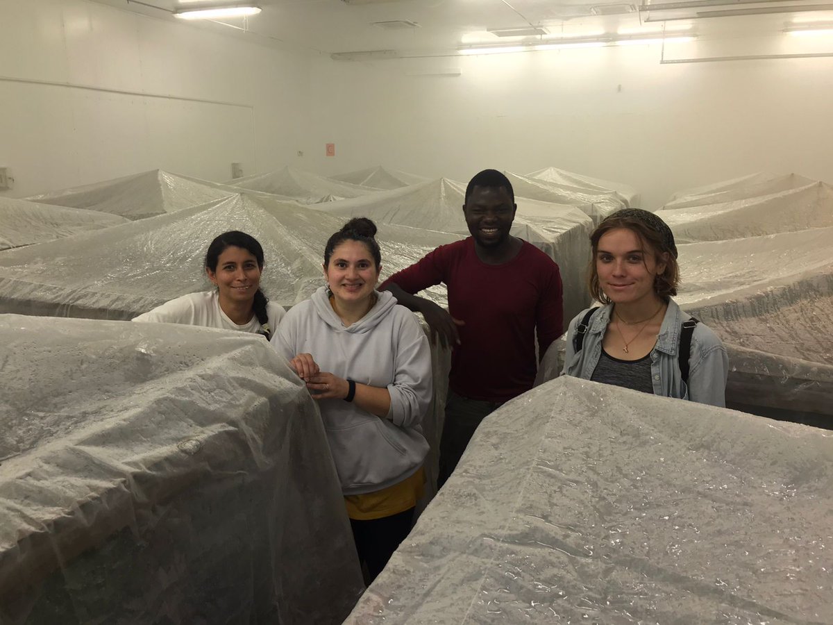 ForestGenomicsLab tweet media