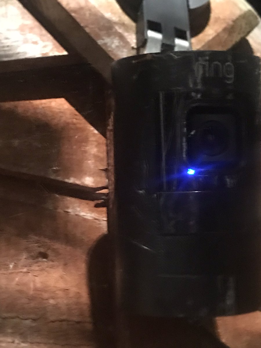 RoarSoundsBath's tweet photo. @JasonManford Yep it’s true!!! My van alarm and All 7 of my Ring cameras can go off cos of spiders!!! I would call Spider-Man to take them away but he flew off before I could catch him! https://t.co/OT3YBS5VAK