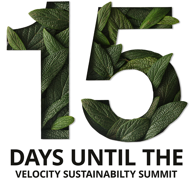 15 Days to the Velocity Sustainability Summit - mailchi.mp/b26edb87d3d0/v…