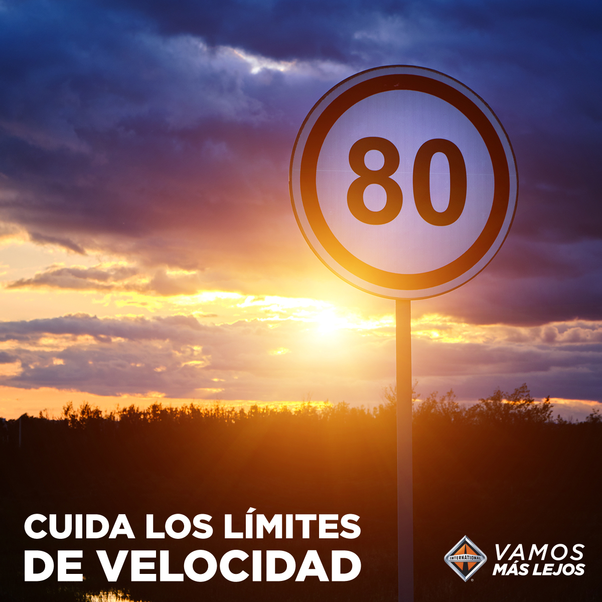 InternationalMX's tweet photo. Claves para incrementar el desempeño de tu flotilla de camiones.
https://t.co/F6bnHx6b5r
En International® vamos más lejos.
#InternationalMx #UpTimeEs https://t.co/KrnUh350Hk