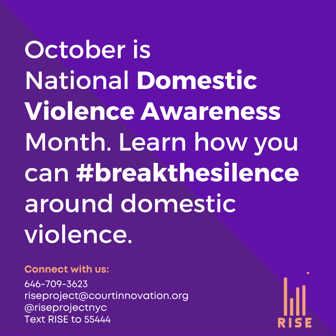 riseprojectnyc's tweet photo. Creating safer communities means creating safer homes. We all have a role to play in ending Domestic Violence, How are you #breakingthesilence ?

#Riseaboveviolence #DVAM #breakthesilence #domesticviolence #DVAM2022 #wearpurple #nomoreviolence #Domesticviolenceawareness #Intimate https://t.co/oSco2pSJoS