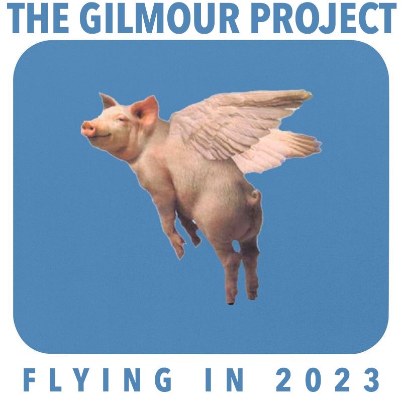 The Gilmour Project tweet media