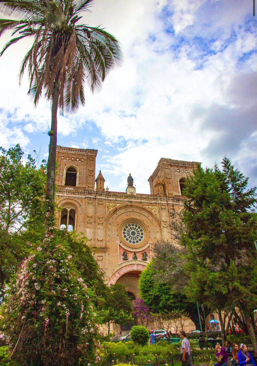 織田百合子 on Twitter 