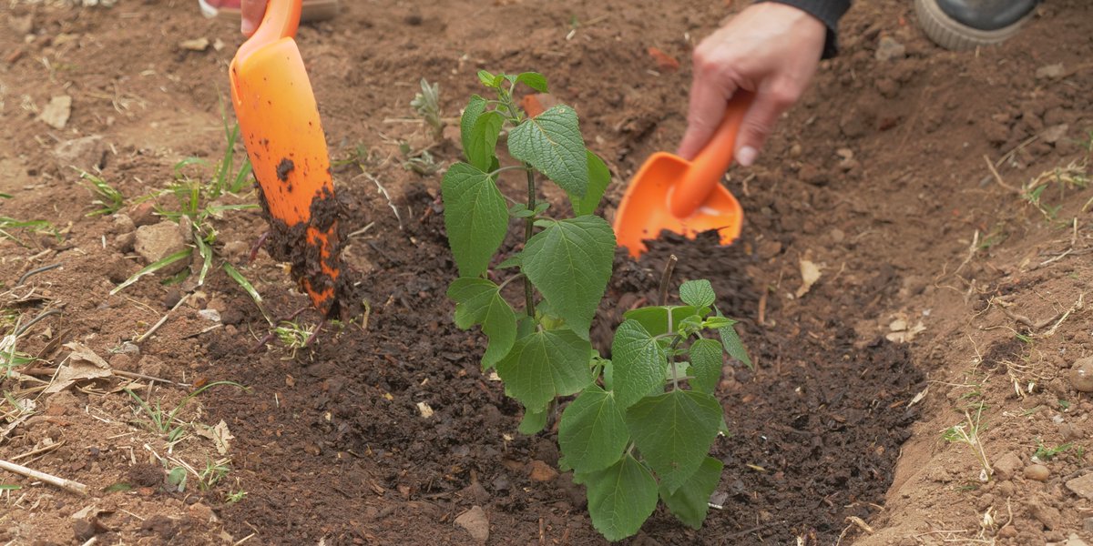 onetreeplanted's tweet photo. A native plant nursery has opened in #Argentina!🌱🎉 @Plantarse is trying to create more green spaces in #BuenosAires. This nursery will connect people and trees to learn and grow together🥰

#PlantATreeDay sponsors, @Kyndryl &amp; @YachakYerbaMate🙏

https://t.co/o4jLUxRMso https://t.co/cfU1I5IHrl