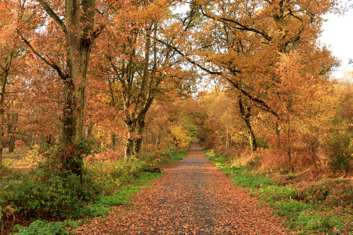 *crunch*
*crunch*
*crunch*