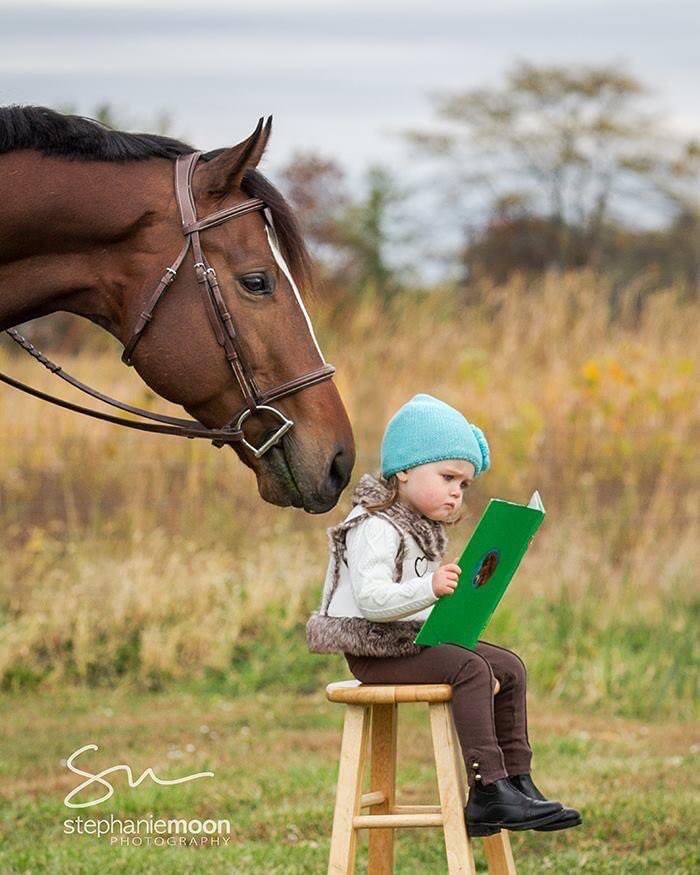 KeeleyDurhamEq1's tweet photo. Planning ahead? 

Mondays are good for sorting out the week ahead. 🤓
It’s that time of year where the weather gets us organized to ensure the horses are clipped and that makes grooming so much easier post exercise! 🏇🏿🏇🏿
#organized #autumn  #clippingseason #keeleydurhamequestrian https://t.co/6yRlpglpxE