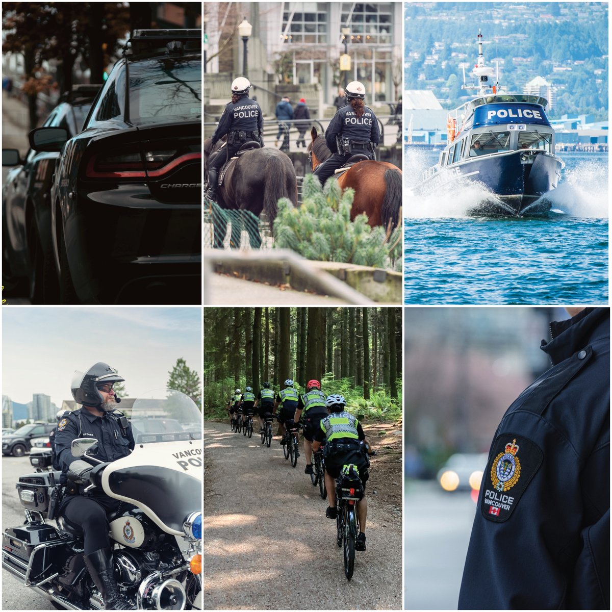 DCC Steve Rai on Twitter: