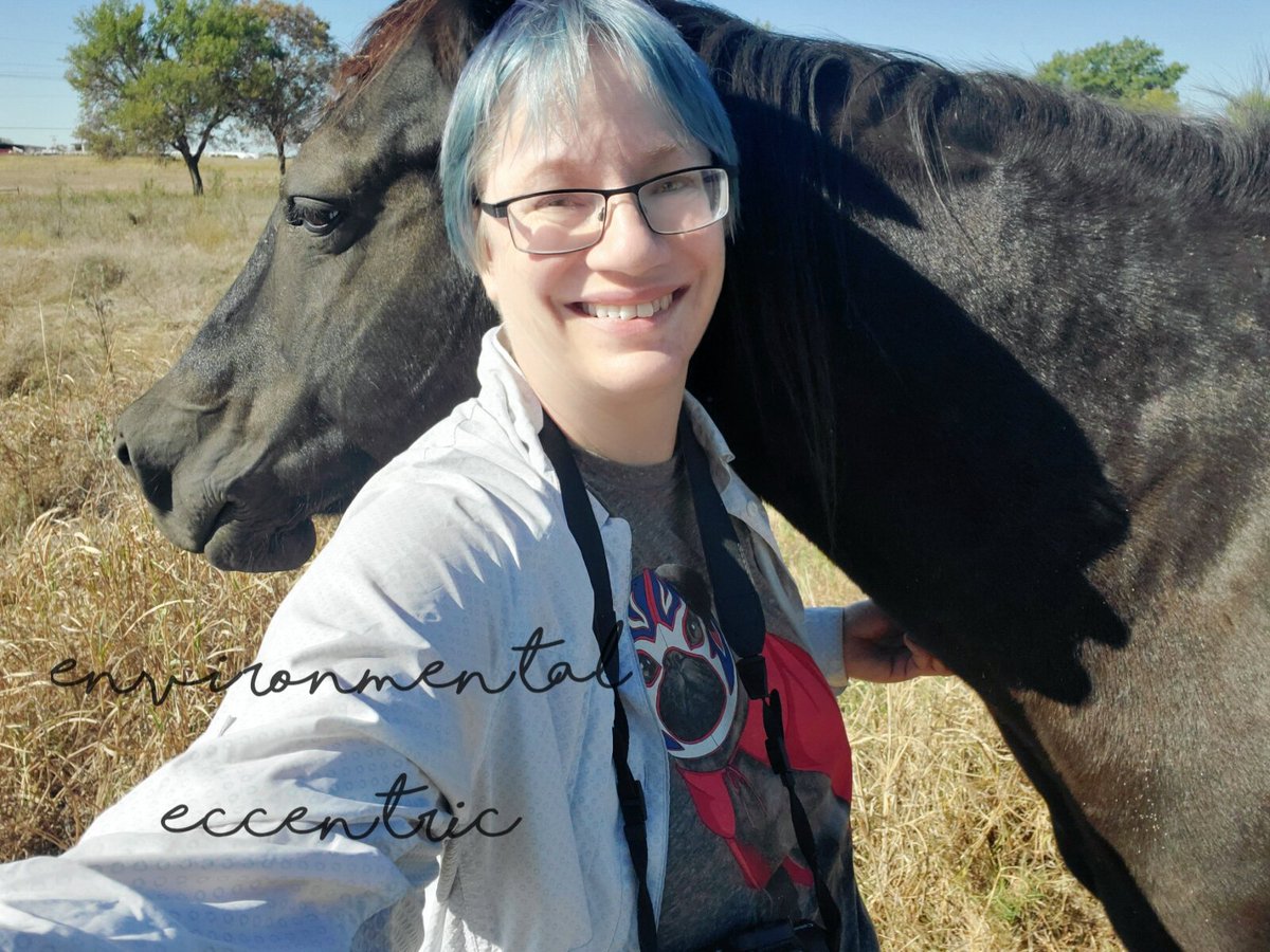 EnvEccentric's tweet photo. Another pasture selfieโฆ featuring my old black mare, Tantrum! She never fails to wander over to see what Iโm doing and if Iโll scratch her chest. #Selfie #BlackMare #Horse #Equine https://t.co/WdfPOa8UzL