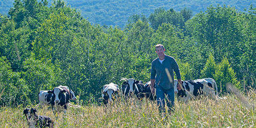 VTLandTrust's tweet photo. The Leach family in Pawlet #VT has farmed the #Mettowee Valley for generations. They shared their story of adapting Woodlawn Farmstead to changing times, including working with cheesemakers and opening a farm store. https://t.co/8sSz408XwB #VTfarm #VTag #VTfarmer #VTdairy https://t.co/M1Na8sBAof