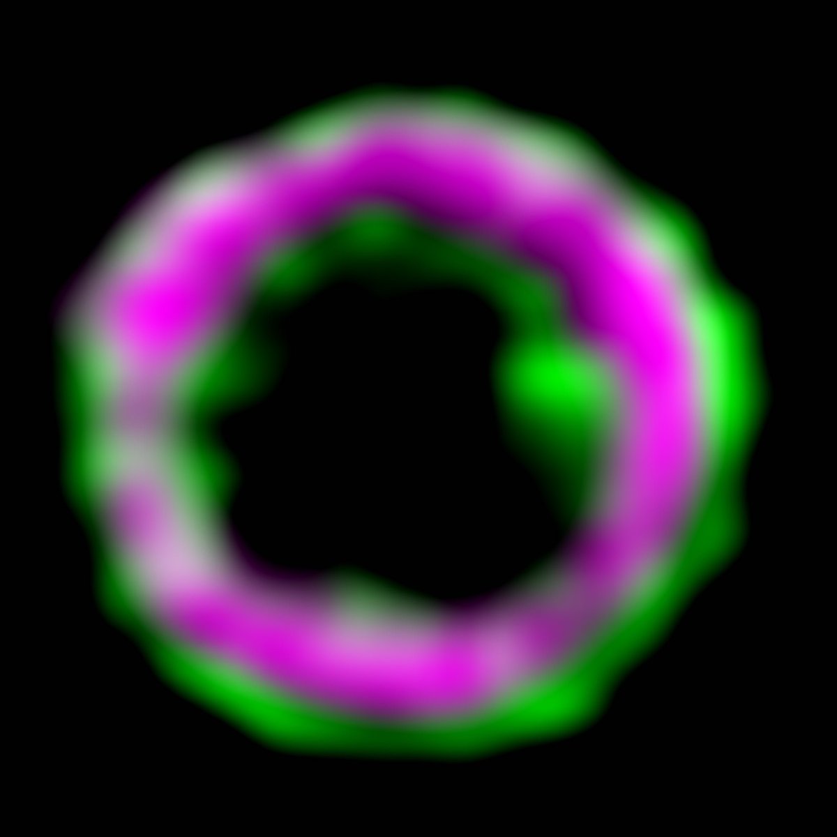 Our article on "mesoscale structure-function relationships in mitochondrial transcriptional condensates" is now available in PNAS! Many thanks to the fantastic team of collaborators from the @NCITomMisteli, @PappulabWashU, and Temiakov labs! doi.org/10.1073/pnas.2…