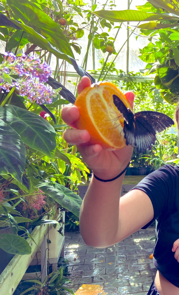 Flying into the first week of October <a href="/qepsottawa/">qepsottawa</a> <a href="/OCDSB/">OCDSB</a>. With thanks to <a href="/LetsTalkScience/">Let's Talk Science</a> and @Tess4Community for organizing this amazing learning activity.