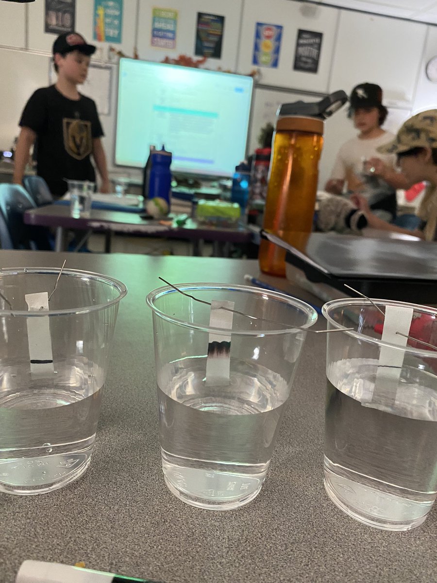 slarseneips's tweet photo. Chromatography for #EvidenceAndInvestigation today! @BrentwoodEIPS https://t.co/QedJFef1T1