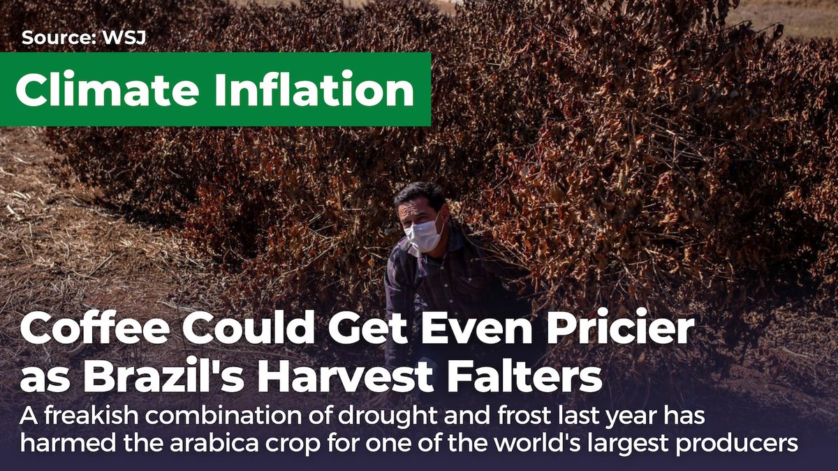ChangeUSChamber's tweet image. Coffee is about to get even pricier! A combination of historic droughts and frost in Brazil pushed coffee futures to all time highs. Climate risk is investment risk! #ClimateInflation
