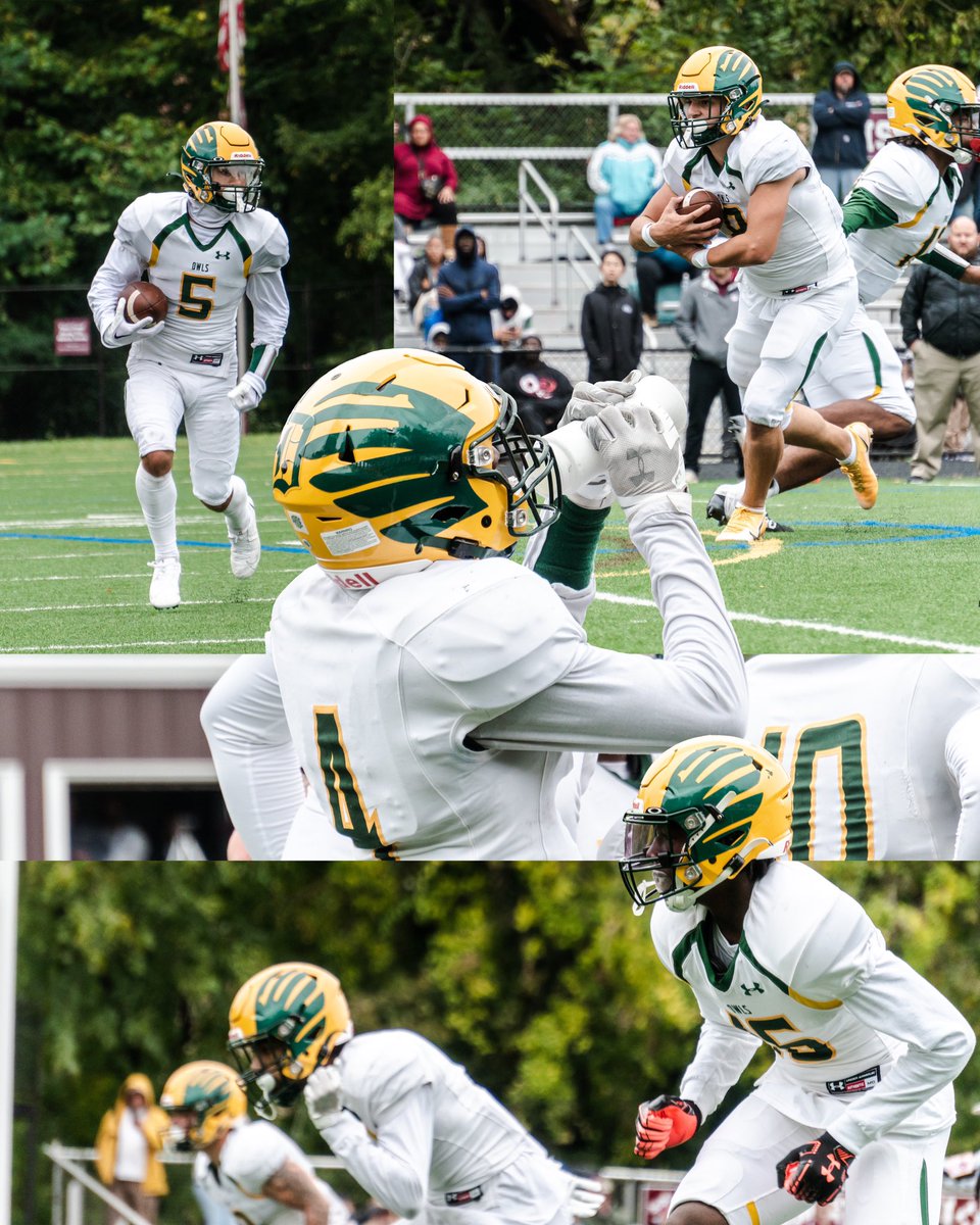 titaniumvisuals's tweet image. ⚪️🟡🟢