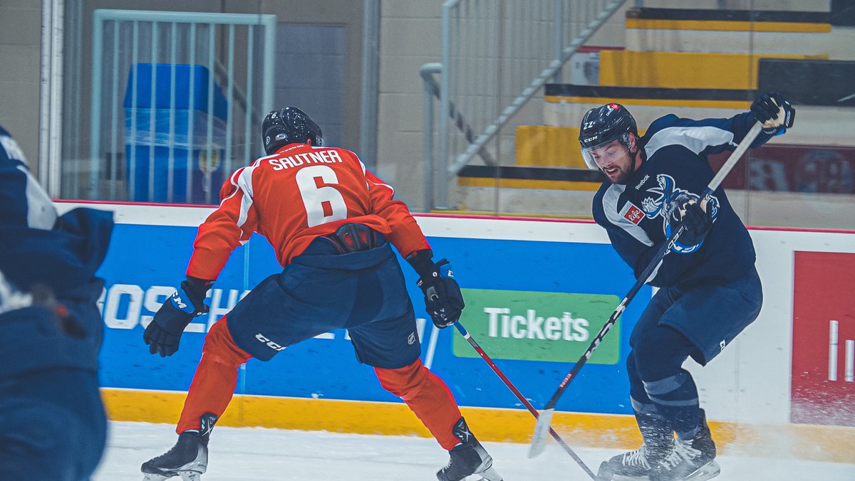 x - Manitoba Moose tweet media