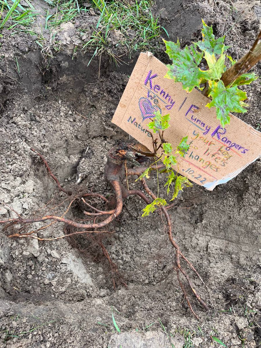 We are starting the Funny Rangers Nuture Contest for 15 WL slots! 
The conditions are simple:you need to send a beautiful photo of nature or the process of planting a
tree in 🌲nature-contest channel.Those who plant the tree will be rewarded first
More information in our Discord!