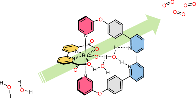 ChemistryNews's tweet photo. Enzyme-like water preorganization in a synthetic molecular cleft for homogeneous water oxidation catalysis https://t.co/6i1ZnS8uoi https://t.co/BHd8yIKSli