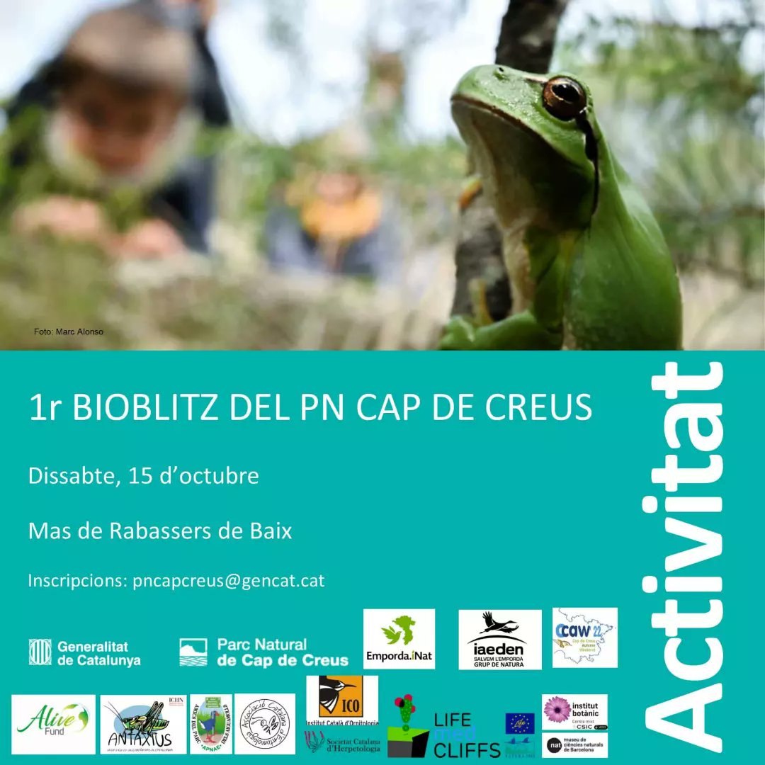 EmpordaiNat tweet media