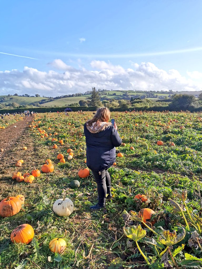 TheCosyGhoul's tweet photo. My #octoberphotoaday prompt.. Pumpkin patch!
I was at a really 💙 time in my life and had always wanted to go, and @YTTheGeekbox surprised me with my very first pumpkin patch visit last October. I definitely plan on going again. 🎃🍂🧡 https://t.co/HlUcGTUq5i