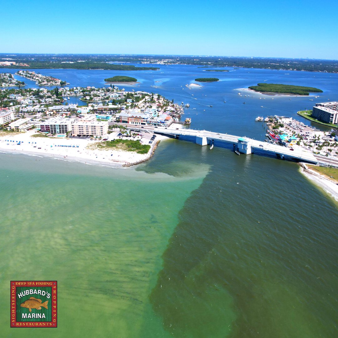 hubbardsmarina's tweet photo. What is going on here... There's a few things...
#HubbardsMarina est. 1928
.
.
.
.
.
.
#Florida #JohnsPass #MadeiraBeach #OffshoreFishing #FishingCharter #GatorJimsTackle #BassProShops #ReelAnimals #SaltStrong #Yamaha #EngelCoolers #Garmin https://t.co/1jrGpD7vo5