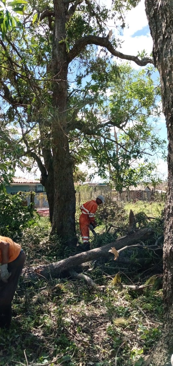 Seguimos avanzando en la recuperación 💪 <a href="/Ecovida_Pinar/">ECOVIDA</a> <a href="/AMA_CUBA/">AMACuba</a>