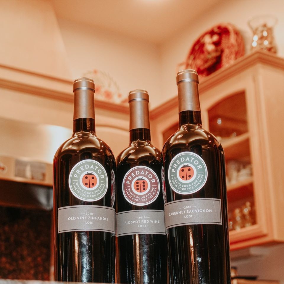 PredatorWines's tweet photo. Discover rich and deep fruit flavors blended with distinctive oak characteristics in each of our wines. An elevated experience accessible to all. https://t.co/yq5kxBnuNP