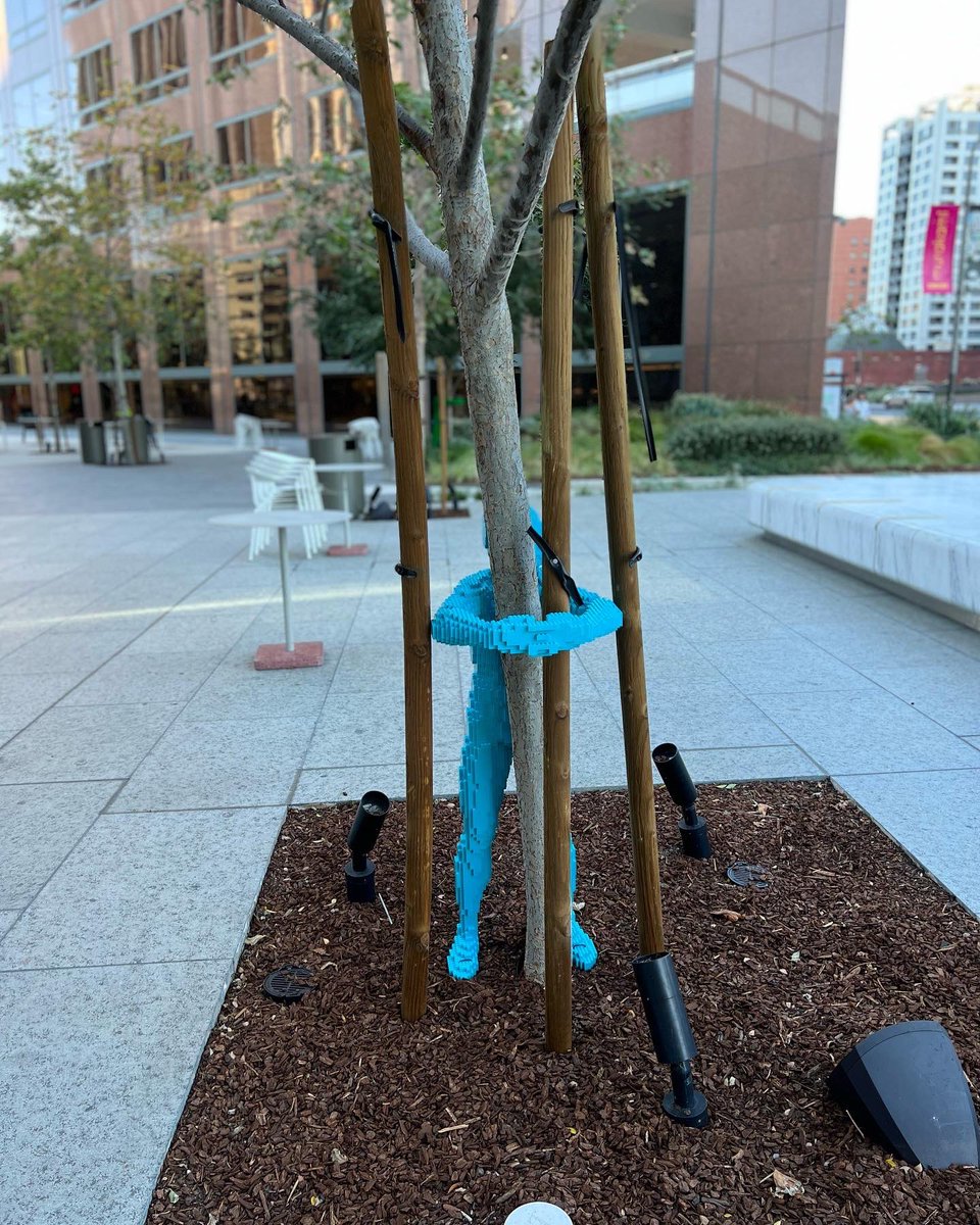 jmm869127's tweet photo. The Hugman series, created by local artist Nathan Sawaya, Ranging in size from 15 inches tall to 65 inches tall, the brightly colored LEGO® @bpdtla until 10/29 @downtown_la #DTLA @HaloDTLA @TrejosTacos @shakeshack  #hug #hugman #art #streetart https://t.co/JoplAwRgXa