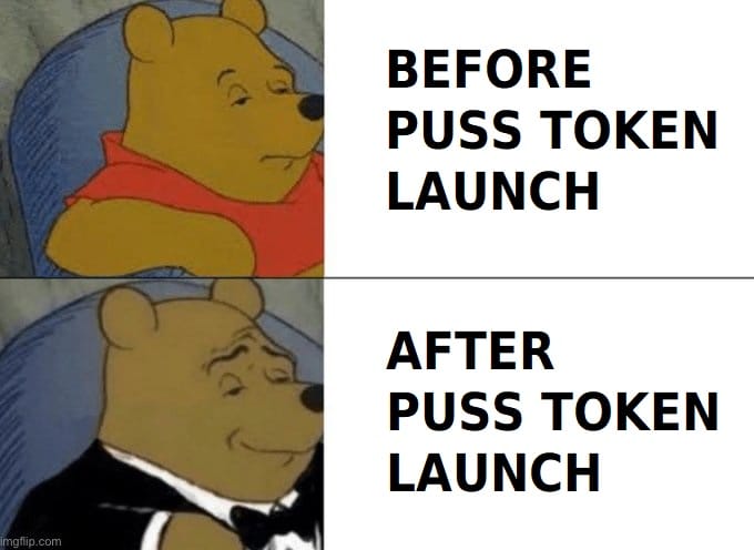 Catherinefe0812's tweet photo. @PUSSAction Strong support, high resistance and huge volumes… @Pussdao #PUSSTOKEN - patience is a virtue!! https://t.co/lAqYXOEgo9