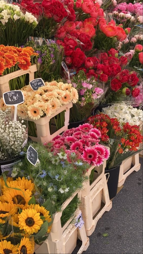 tamjaichunbkk on Twitter "columbia flower market"