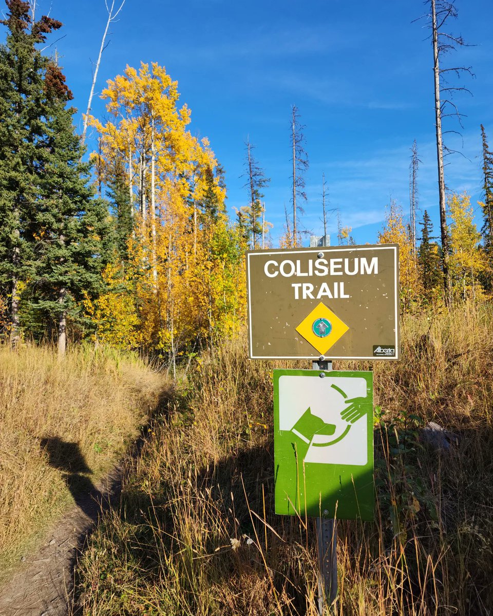 smiliegirl15's tweet photo. Hiking and other camping for Adventure Dog 2.0. #AbrahamLake #adventuredog2pointoh #bocker #fallcamping #sweetviolet https://t.co/pquOUquOGZ