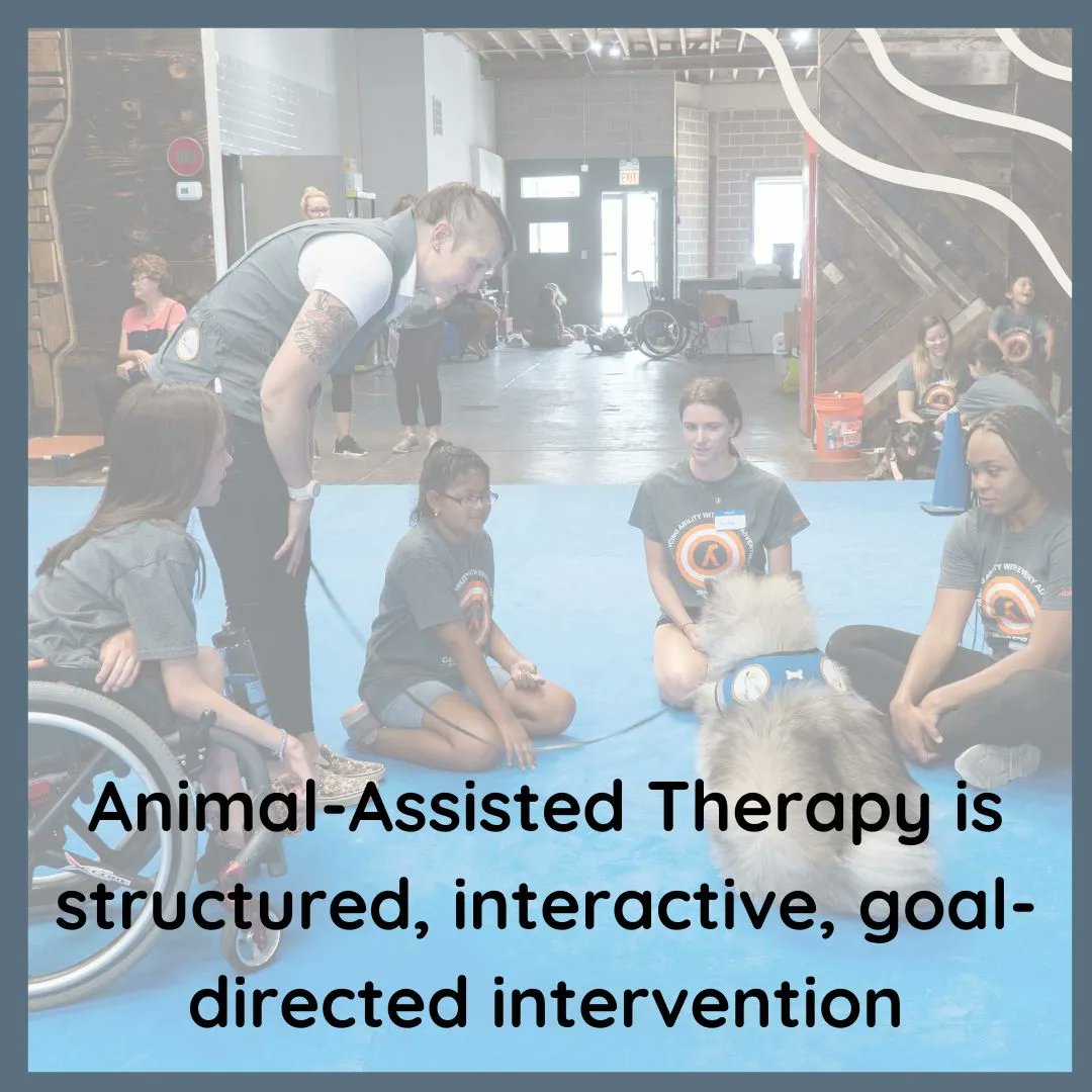 Canine Therapy Corps tweet media