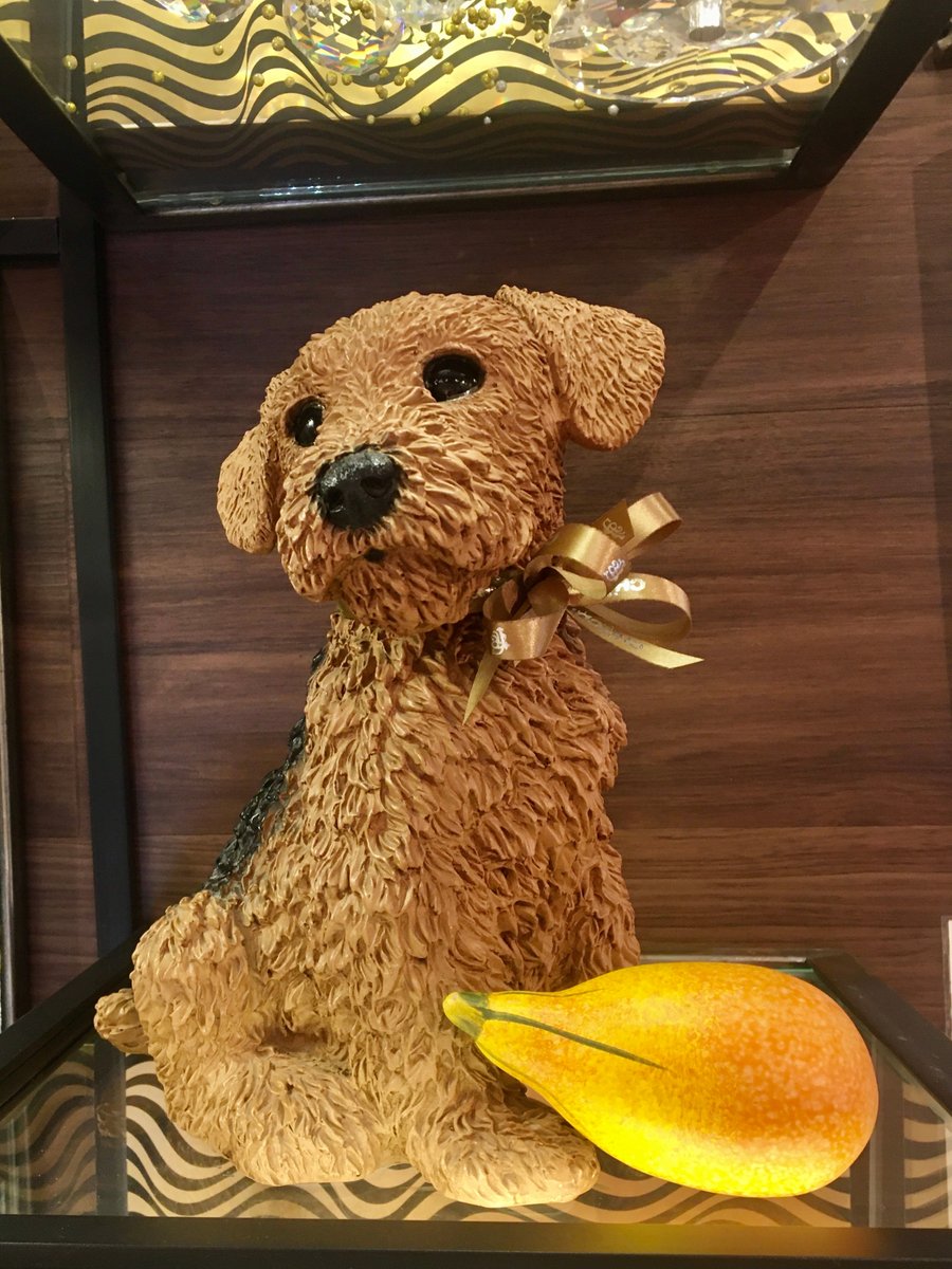 anberando's tweet photo. ¿Vale de chocolate? Vale.
#52de2022 #40de52 #animalesdecompañia https://t.co/eHgyXquJyx
