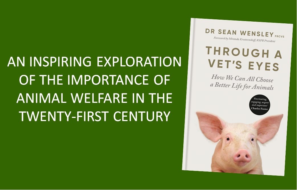 Sean Wensley tweet media