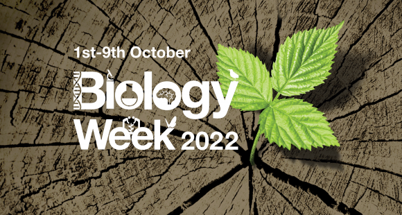 RoyalVetCollege's tweet photo. ⭐ It’s #BiologyWeek2022! If you’re in school or college, you can join the RVC’s FREE Biology Stars programme
6️⃣ weeks of talks from our partners starting Monday

@RoyalSocBio @OfficialZSL @Bruneluni @StGeorgesUni @utwenteEN @Ri_Science 

➡️ Sign up at: https://t.co/JLt7dHk1jf https://t.co/7FLwCqKHC5