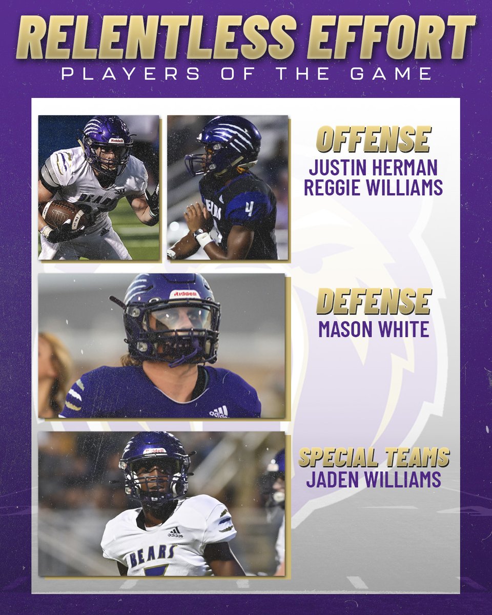 MHS Bear Football tweet media