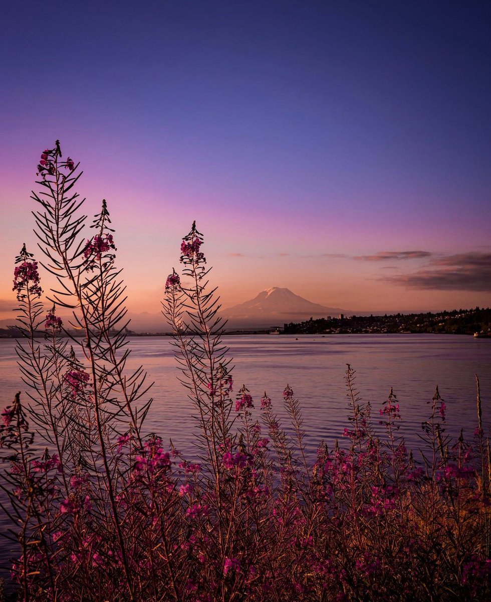 visitpierce's tweet photo. Mountain, City, Sea… *chefs kiss* 👌🏽
📸 @shotbyjavy
#traveltacoma #mountaincitysea #rainierwatch #mountaincrushmonday #viewsfordays #pointruston #gritcity #tacomawa #tacomawaterfront #crispymorning #autumnmood #willtravelforviews https://t.co/y2Kb2msb0S