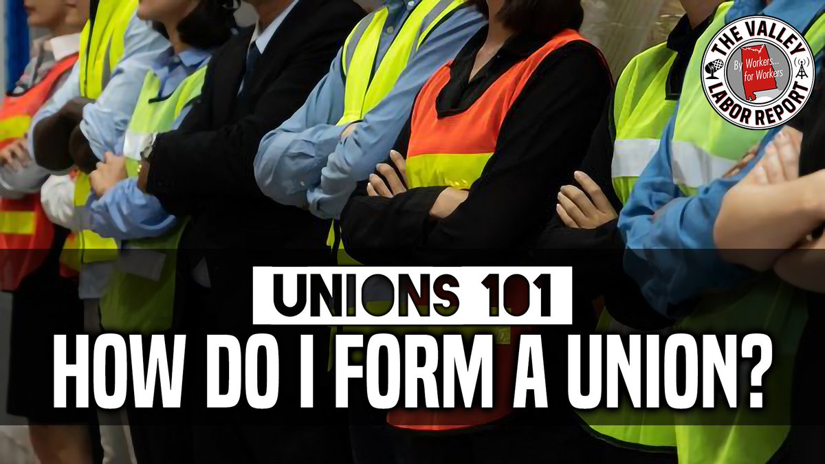 The Valley Labor Report (@laborreporters) on Twitter photo How do you form a union?
Graham Gale from <a href="/reiunionsoho/">REI Union SoHo</a> and <a href="/michelleeisen/">Michelle Eisen</a> from <a href="/SBWorkersUnited/">Starbucks Workers United</a>, both workers who have been part of successful unionization campaigns, answer:
youtu.be/Hgcd4oWHkes How do you form a union?
Graham Gale from <a href="/reiunionsoho/">REI Union SoHo</a> and <a href="/michelleeisen/">Michelle Eisen</a> from <a href="/SBWorkersUnited/">Starbucks Workers United</a>, both workers who have been part of successful unionization campaigns, answer:
youtu.be/Hgcd4oWHkes