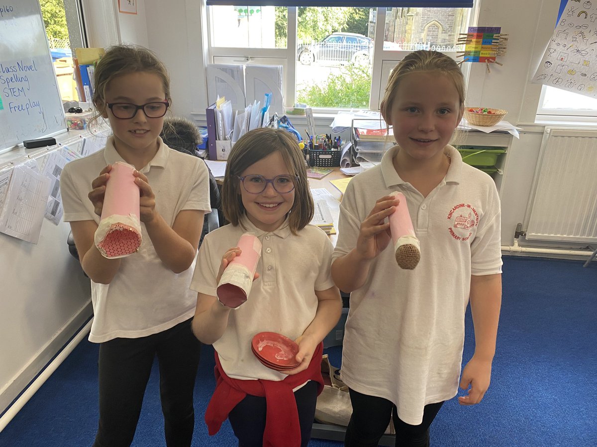 KIM Primary tweet media